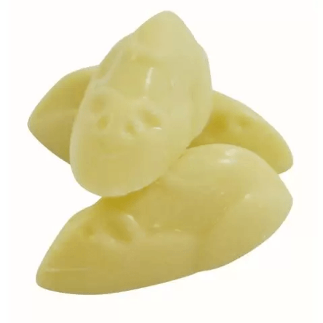 White Mice